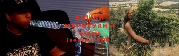 Альфа ПВП Пересвет