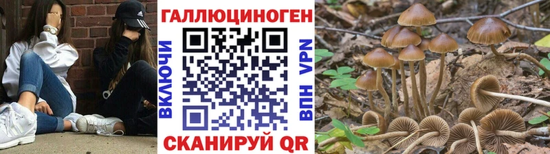 Псилоцибиновые грибы MAGIC MUSHROOMS  ОМГ ОМГ ONION  Гаджиево 