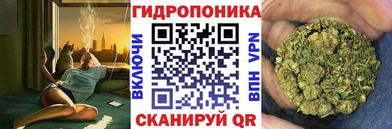 МЕГА зеркало  Гаджиево  Бошки Шишки индика  что такое наркотик 